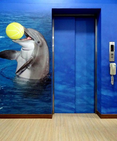 مبيت وإفطار دونغانغ Dolphin Castle المظهر الخارجي الصورة