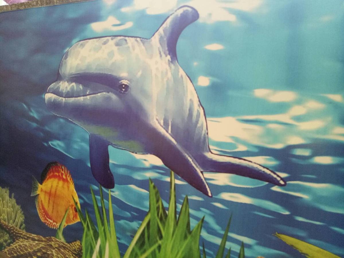 مبيت وإفطار دونغانغ Dolphin Castle المظهر الخارجي الصورة